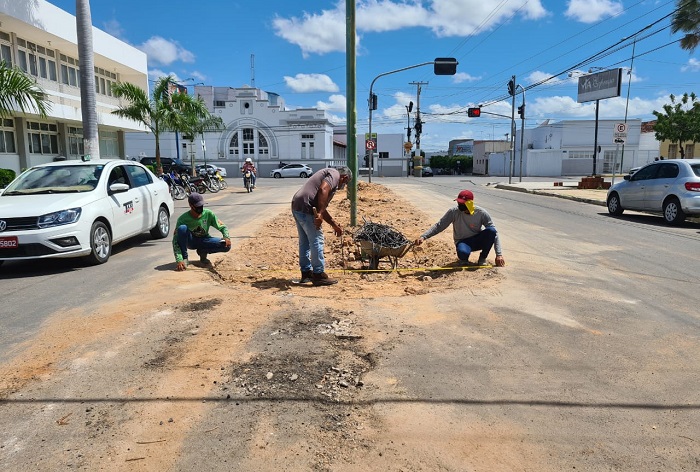 Região central de Sousa ganhará moderno canteiro com o plantio de 13 árvores no entorno do percurso